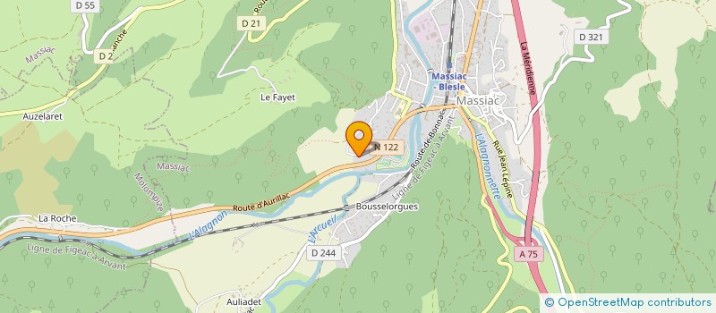 localisation de l'entreprise MONSIEUR NICOLAS CHAMBARON à MASSIAC
