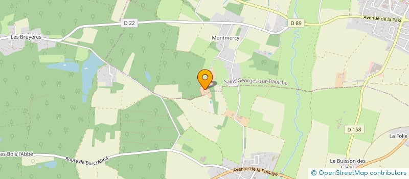 localisation de l'entreprise MONSIEUR NICOLAS CHERBUIN  SAINT-GEORGES-SUR-BAULCHE
