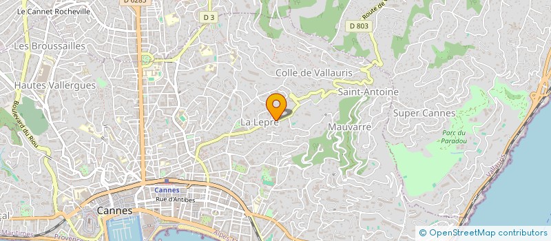 localisation de l'entreprise MONSIEUR NICOLAS CIAIS à CANNES