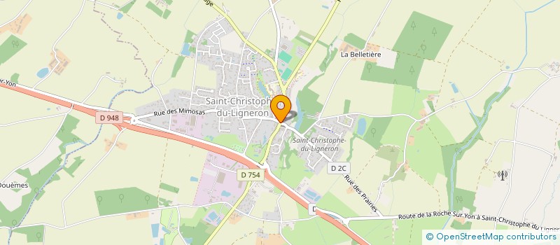 localisation de l'entreprise MONSIEUR NICOLAS CLAUDE DAVID à SAINT-CHRISTOPHE-DU-LIGNERON