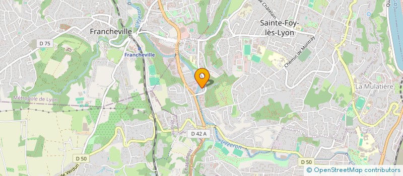 localisation de l'entreprise MONSIEUR NICOLAS COSTE  SAINTE-FOY-LES-LYON