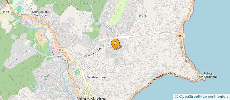 localisation de l'entreprise MONSIEUR NICOLAS COTERON à SAINTE-MAXIME