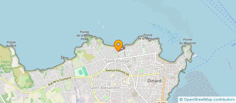 localisation de l'entreprise MONSIEUR NICOLAS COTTEN DE SAINT YVI  DINARD