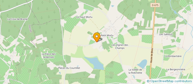 localisation de l'entreprise MONSIEUR NICOLAS COUTANGT  SAINT-ROMAIN-SUR-CHER