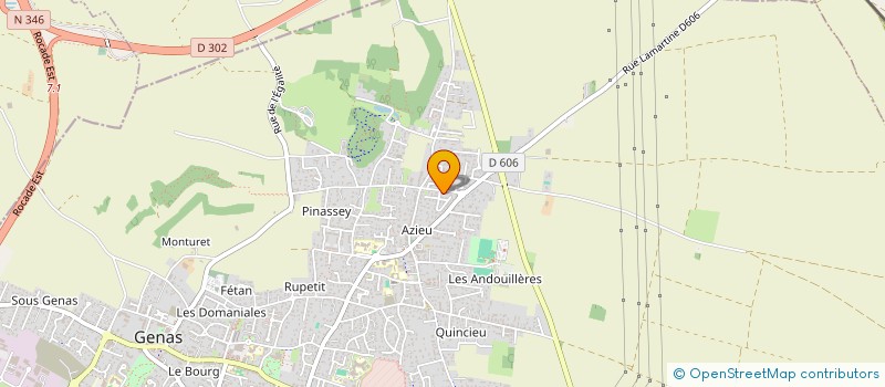 localisation de l'entreprise MONSIEUR NICOLAS DALLERY  GENAS