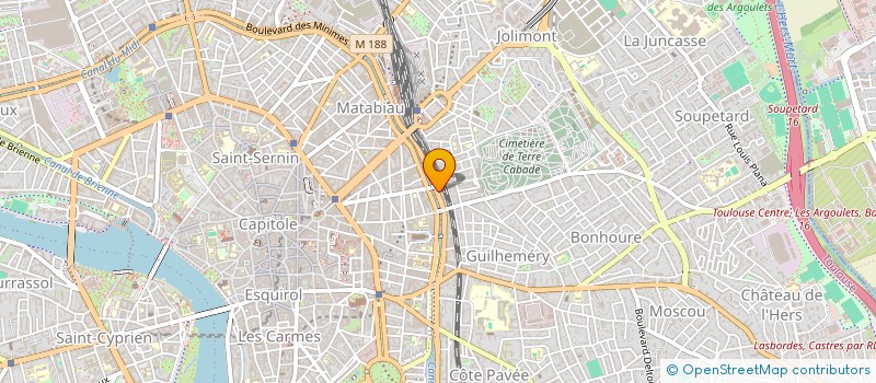 localisation de l'entreprise MONSIEUR NICOLAS DANVIDE à TOULOUSE