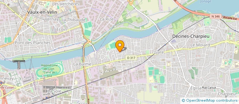 localisation de l'entreprise MONSIEUR NICOLAS DARJINOFF  DECINES-CHARPIEU