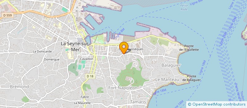 localisation de l'entreprise MONSIEUR NICOLAS DAVID  LA SEYNE-SUR-MER