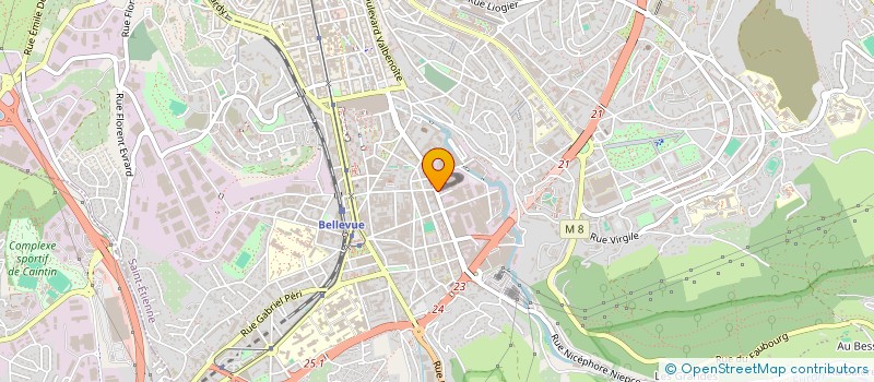 localisation de l'entreprise MONSIEUR NICOLAS DAVID  SAINT-ETIENNE