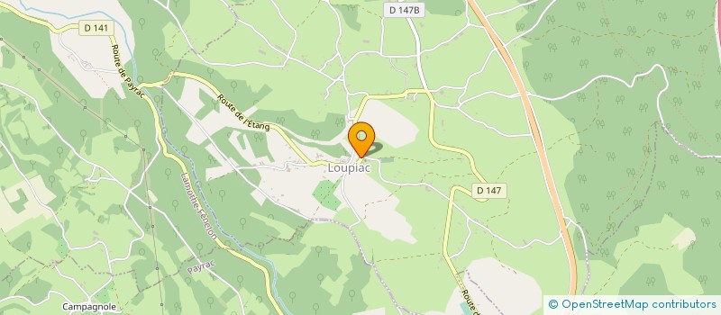 localisation de l'entreprise MONSIEUR NICOLAS DAYNAC  LOUPIAC