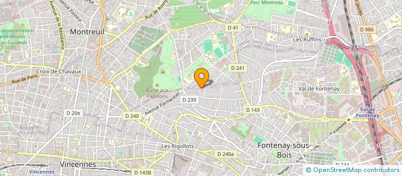 localisation de l'entreprise MONSIEUR NICOLAS DE GRANDI à FONTENAY-SOUS-BOIS