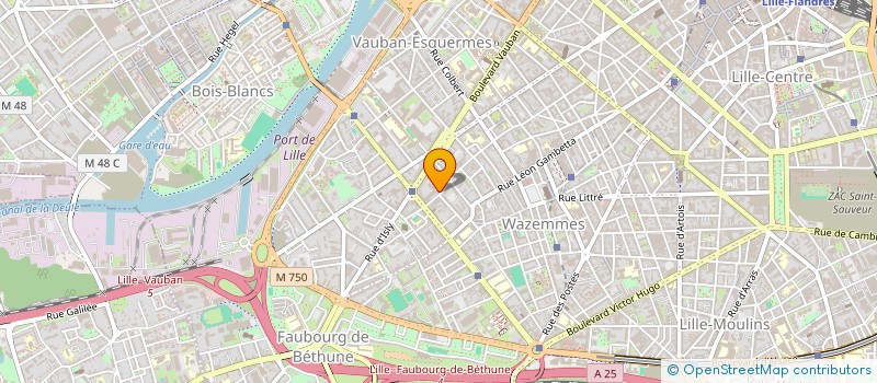 localisation de l'entreprise MONSIEUR NICOLAS DE GRAVE  LILLE