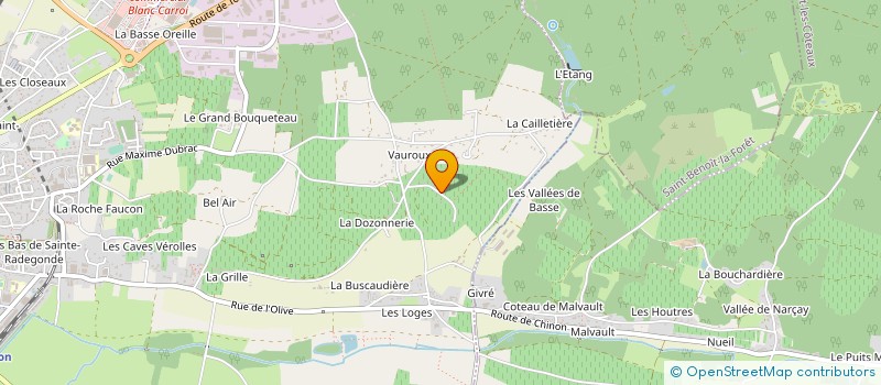 localisation de l'entreprise MONSIEUR NICOLAS DE REYDET DE VULPILLIERES  CHINON