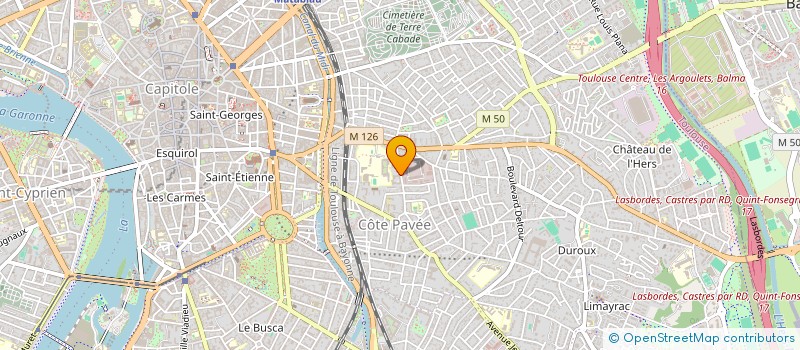 localisation de l'entreprise MONSIEUR NICOLAS DELAGNES à TOULOUSE