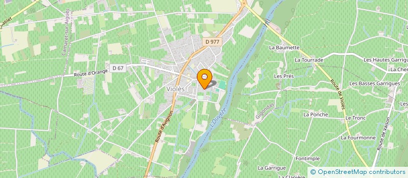 localisation de l'entreprise MONSIEUR NICOLAS DELAVIS  VIOLES