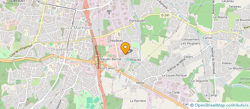 localisation de l'entreprise MONSIEUR NICOLAS DELEAU  ARTIGUES-PRES-BORDEAUX