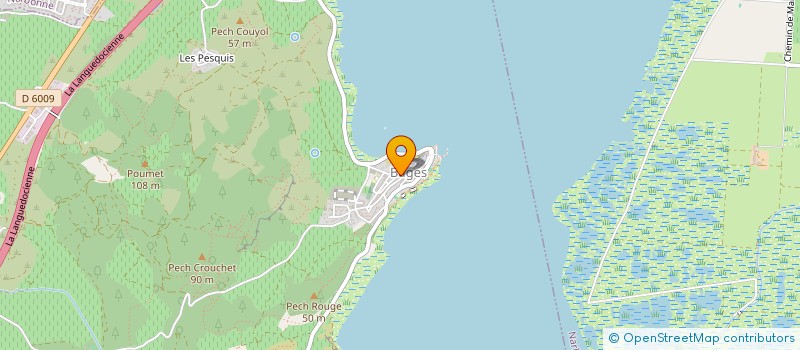 localisation de l'entreprise MONSIEUR NICOLAS DELLONG  BAGES