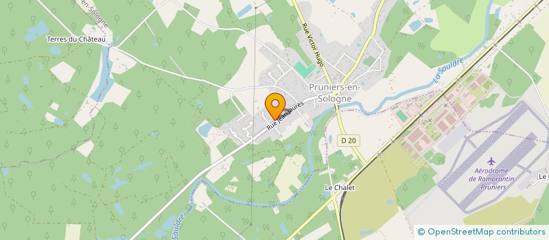 localisation de l'entreprise MONSIEUR NICOLAS DELVERT  PRUNIERS-EN-SOLOGNE