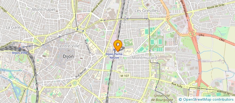 localisation de l'entreprise MONSIEUR NICOLAS DEMANGEON  DIJON