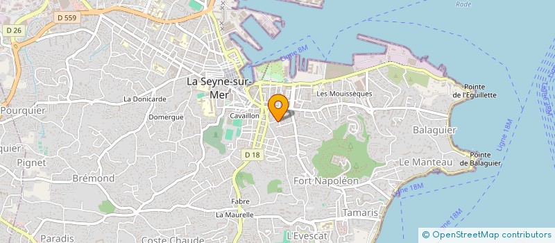 localisation de l'entreprise MONSIEUR NICOLAS DEMARNE  LA SEYNE-SUR-MER