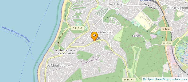 localisation de l'entreprise MONSIEUR NICOLAS DESALME à ARCACHON