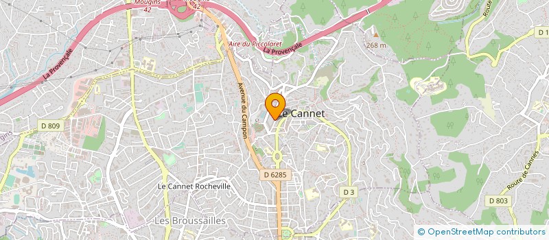 localisation de l'entreprise MONSIEUR NICOLAS DESQUAIRES à LE CANNET