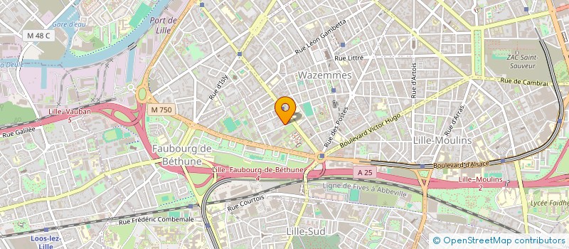 localisation de l'entreprise MONSIEUR NICOLAS DESSAUX à LILLE