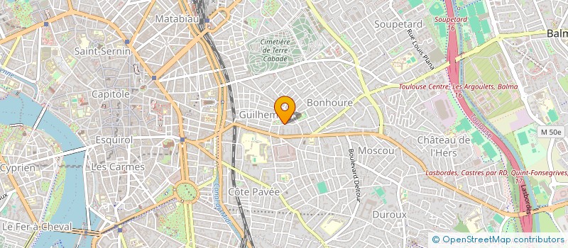 localisation de l'entreprise MONSIEUR NICOLAS DEVILLEBICHOT-PLAWCZYK à TOULOUSE
