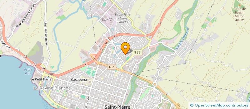 localisation de l'entreprise MONSIEUR NICOLAS DHIVER à SAINT-PIERRE