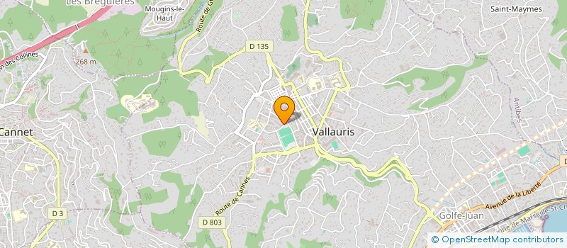 localisation de l'entreprise MONSIEUR NICOLAS DI BETTA  VALLAURIS