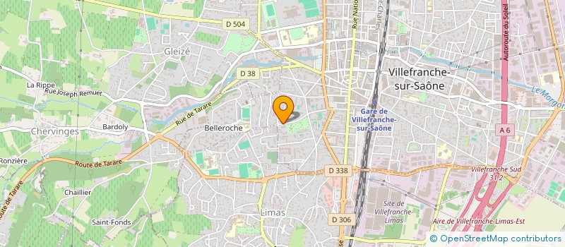 localisation de l'entreprise MONSIEUR NICOLAS DI MICHELE  VILLEFRANCHE-SUR-SAONE