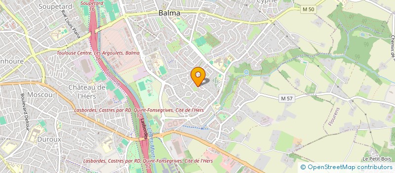 localisation de l'entreprise MONSIEUR NICOLAS DIEP  BALMA