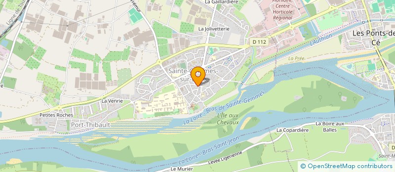 localisation de l'entreprise MONSIEUR NICOLAS DIESNIS à SAINTE-GEMMES-SUR-LOIRE