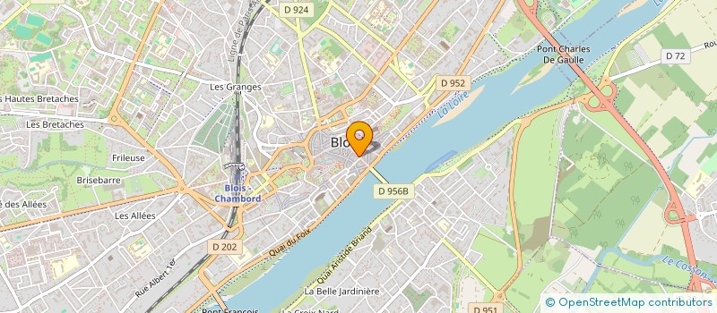 localisation de l'entreprise MONSIEUR NICOLAS DIEUDE à BLOIS