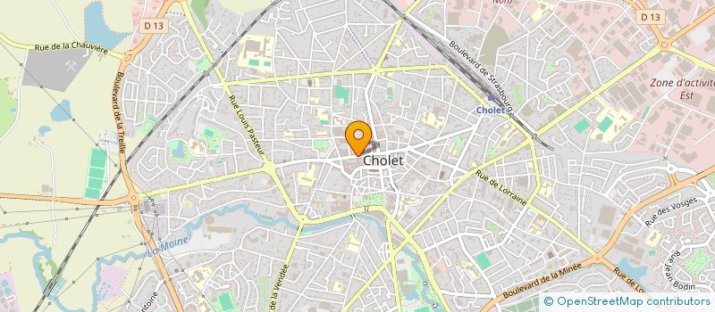 localisation de l'entreprise MONSIEUR NICOLAS DOLPHIN à CHOLET