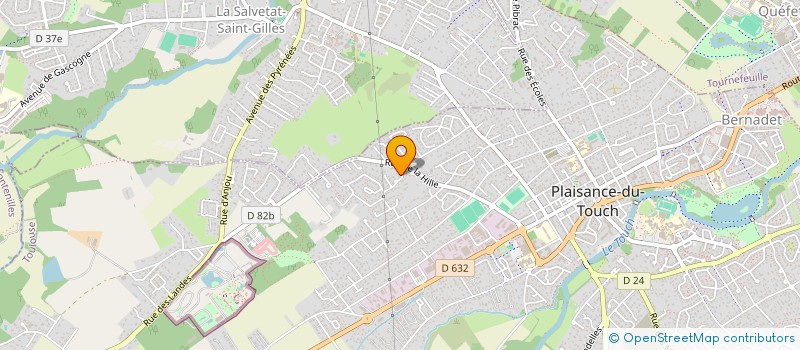 localisation de l'entreprise MONSIEUR NICOLAS DOMINGUEZ  PLAISANCE-DU-TOUCH