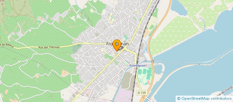 localisation de l'entreprise MONSIEUR NICOLAS DOUVILLE à FRONTIGNAN