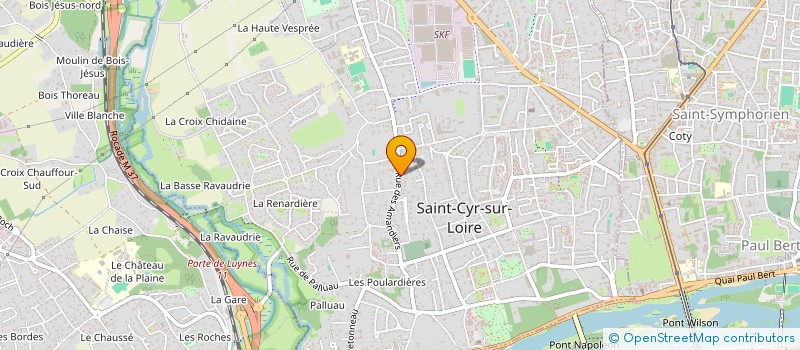 localisation de l'entreprise MONSIEUR NICOLAS DUBOIS  SAINT-CYR-SUR-LOIRE