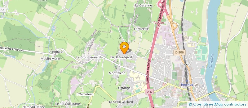 localisation de l'entreprise MONSIEUR NICOLAS DUBOIS à TOURNUS