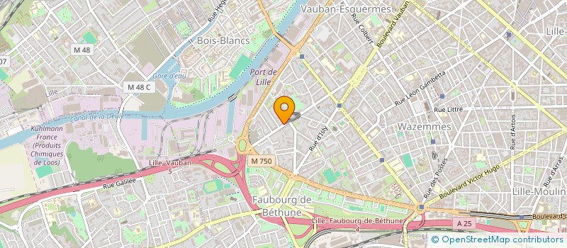 localisation de l'entreprise MONSIEUR NICOLAS DUDOGNON à LILLE