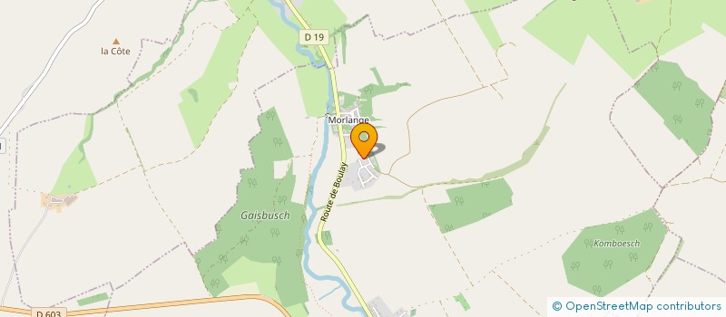 localisation de l'entreprise MONSIEUR NICOLAS DUPONT  BIONVILLE-SUR-NIED