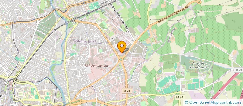 localisation de l'entreprise MONSIEUR NICOLAS DUSFOUR  MONTPELLIER