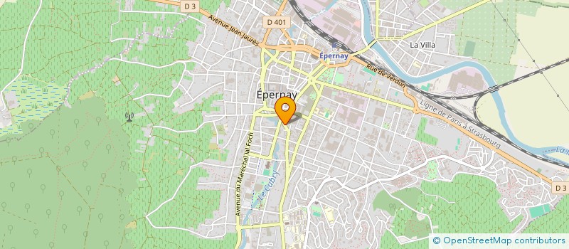 localisation de l'entreprise MONSIEUR NICOLAS DZIALOWSKI à EPERNAY