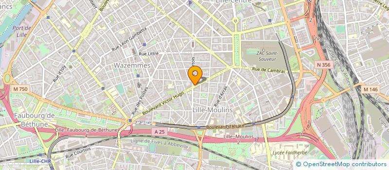 localisation de l'entreprise MONSIEUR NICOLAS DZIAMSKI à LILLE