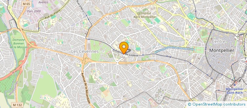 localisation de l'entreprise MONSIEUR NICOLAS ESTEVE à MONTPELLIER