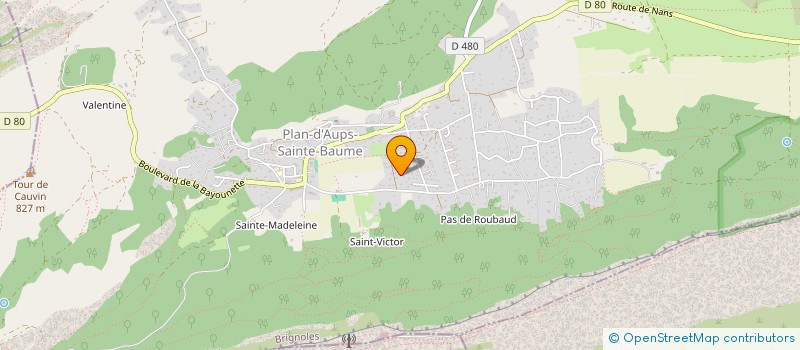 localisation de l'entreprise MONSIEUR NICOLAS EYRIEUX à PLAN-D'AUPS-SAINTE-BAUME