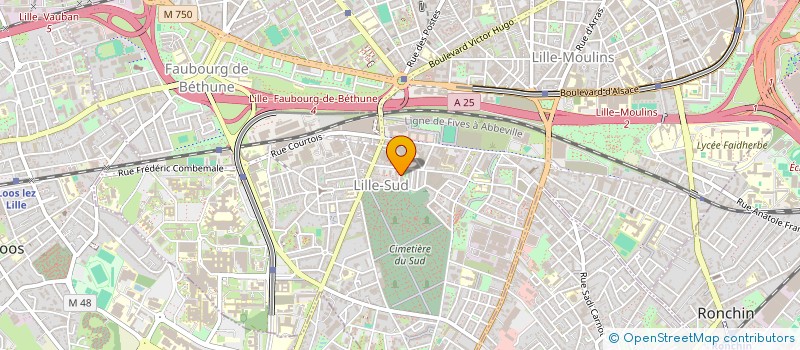 localisation de l'entreprise MONSIEUR NICOLAS FAVRE  LILLE