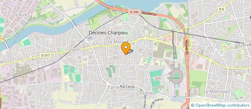 localisation de l'entreprise MONSIEUR NICOLAS FERNANDEZ  DECINES-CHARPIEU