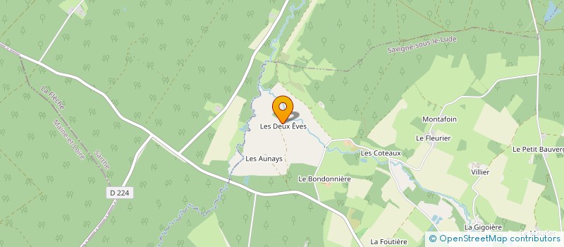 localisation de l'entreprise MONSIEUR NICOLAS FLEURANCE  SAVIGNE-SOUS-LE-LUDE