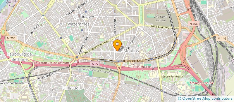 localisation de l'entreprise MONSIEUR NICOLAS FONTAINE à LILLE